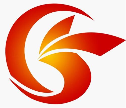 天成網絡科技